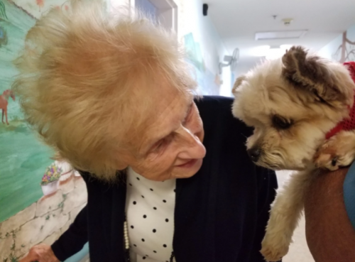 pet therapy at peabody place